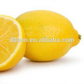 Limonine 98%